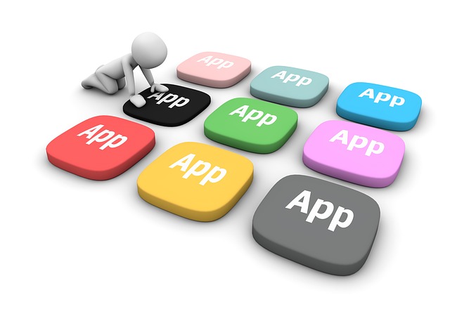 Illustration of a secure software application
